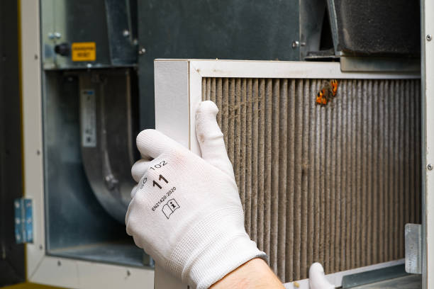 Best Air Duct Cleaning Near Me  in Pis, AR