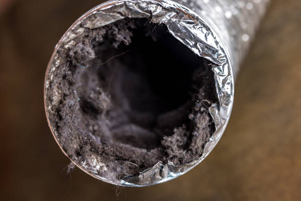 Best Dryer Vent Cleaning Services  in Pis, AR