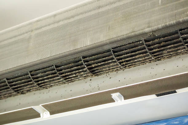 Best Air Duct Cleaning Company Near Me  in Pis, AR